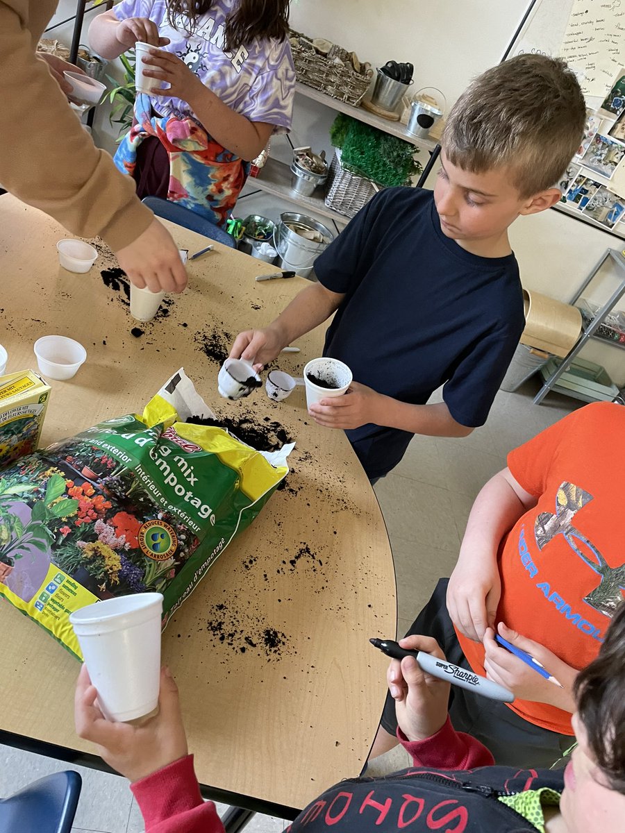 OurDiscoveries's tweet photo. Starting our seedlings! Our classroom greenhouse is a very exciting item! 🪴 https://t.co/aD07KUbhHY