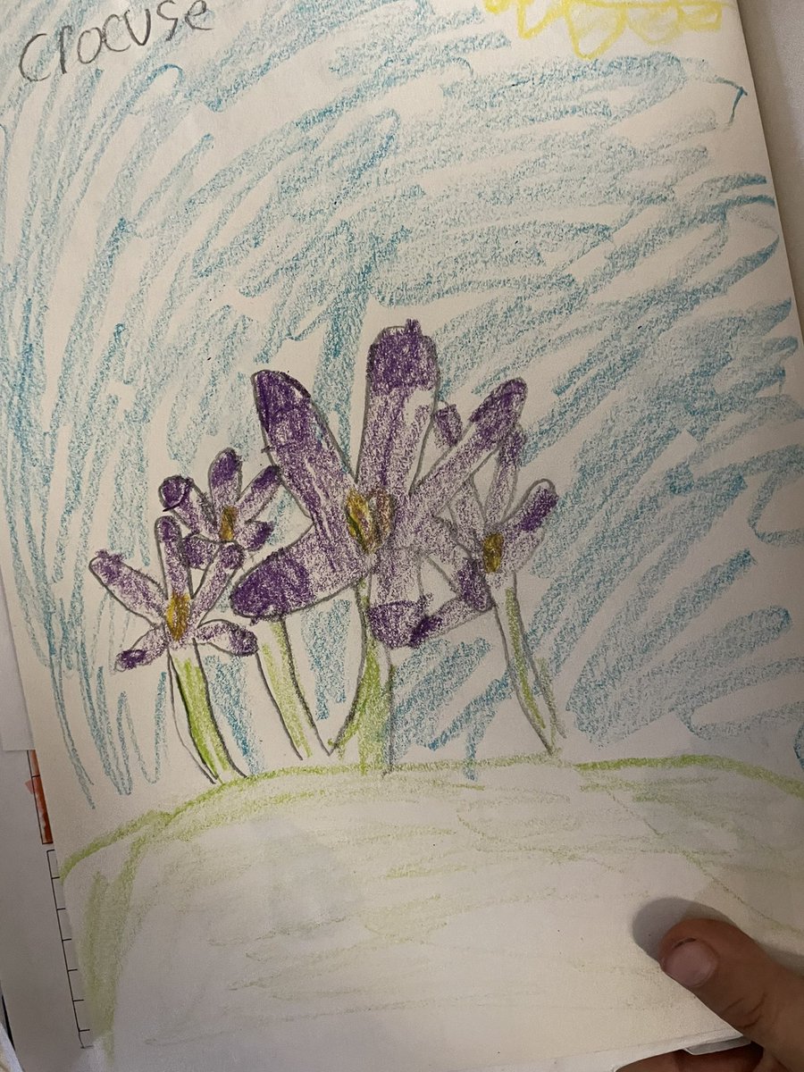 OurDiscoveries's tweet photo. We are artists! 🎨 Exploring a variety of mediums while sketching our Manitoba crocus! https://t.co/gafg8rpoR8