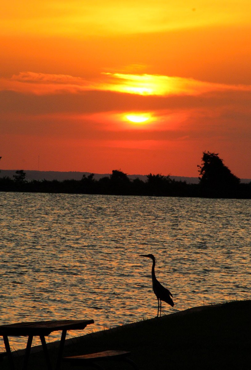 Sunset on Lake Livingston from Sarah's Point of View.