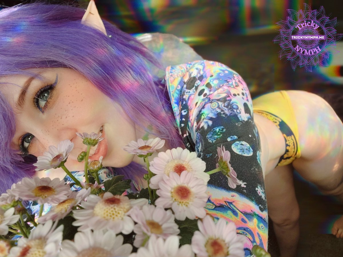 💞 Tricky Nymph 💞 tweet media