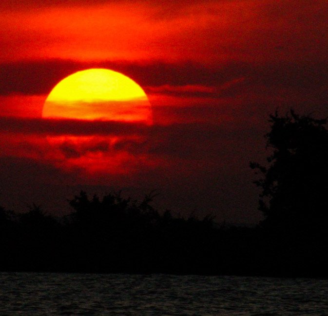 More of tonight's sunset from Sarah's Point of View. Lake Livingston SP.
