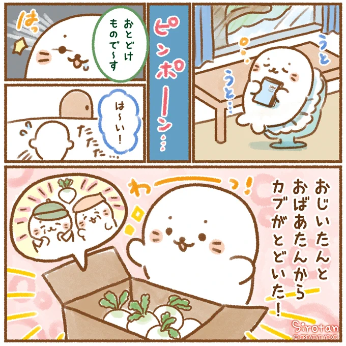 ✉白いもの もっともっとたくさん!✉

ある日の昼下がり🌥
うとうとしていたしろたんに届いたのは…

#しろたん #白いものたくさん #漫画 #手紙 #カブ 