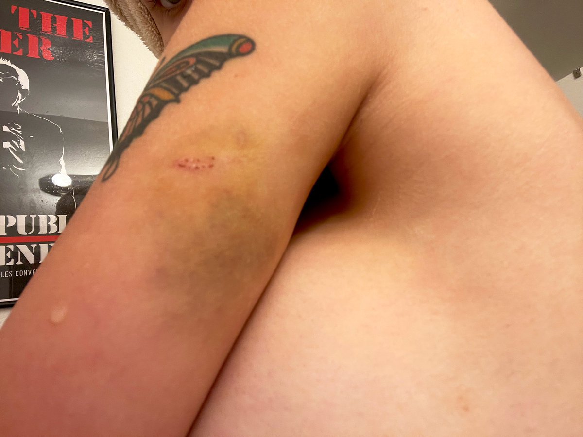 Expose Brandon Hoover for what he really is and crown the empire for covering it up #crowntheempire #brandonhoover

Justice for @downlowbambi