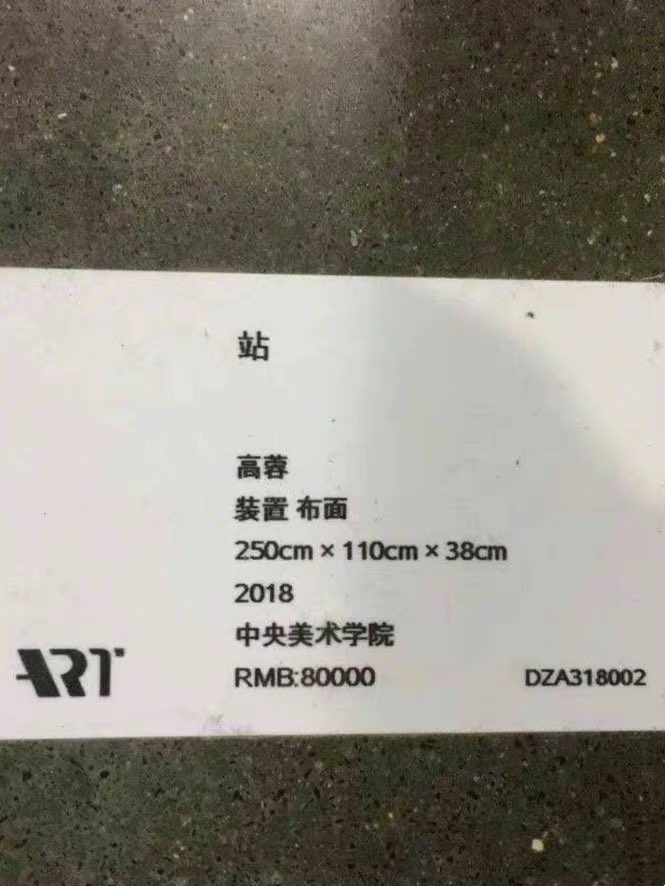 fuwayaya's tweet photo. 中央美院学生的刺绣作品，图来自小红书的小梨涡子。
北京，北京。 https://t.co/rOKmmtCOXu