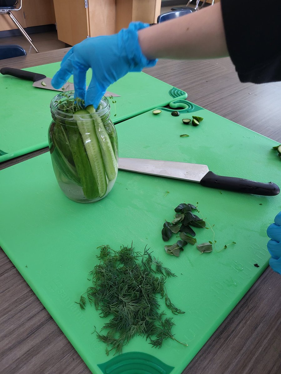Biology students were able to make fermented pickles today. They relished the experience!

We also used class-grown herbs from our Lettuce Grow Farmstand, which was a big dill! 🥒