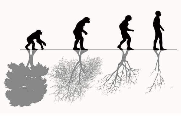 winsoftpro's tweet photo. Save Tree, Don't be the reason of Disaster! https://t.co/SOUdg2m59G