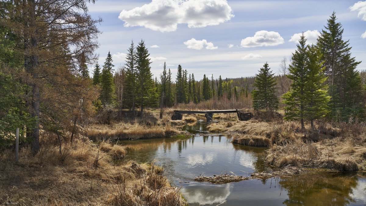 rluka's tweet photo. One of the many small creeks that cross under our roads #PhotoOfTheDay #NaturePhotography #Photo #naturelovers https://t.co/SmG4Uz9TH7