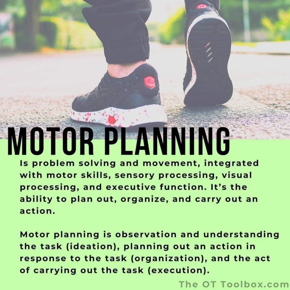 seeingCVI's tweet photo. Motor planning =
#problemsolving
#movement
#sensoryintegration
#sensoryprocessing
#executivefunction
#visualprocessing 👀🧠 https://t.co/wJsZ7ntjhf