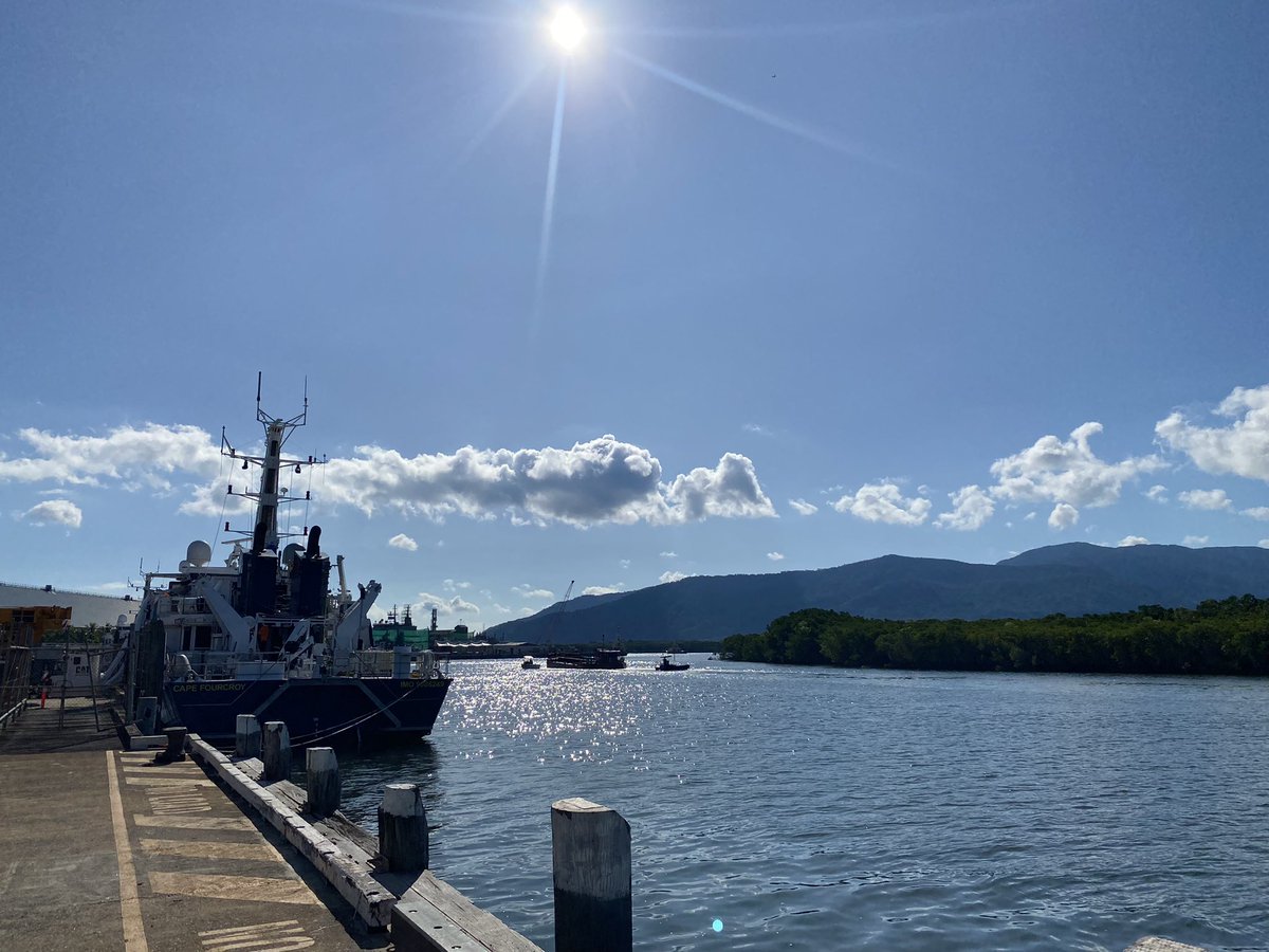 Annastacia Palaszczuk tweet media