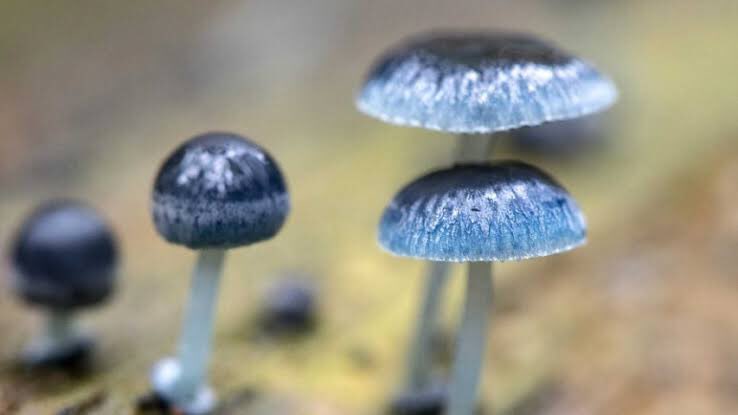 🔥💯🔥💯🔥💯👌💯👌💯