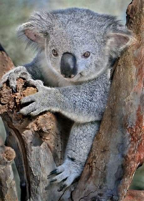 Síguenos🌍💯🔄
<a href="/YG_572/">Yousaf Ghani</a> 
<a href="/rasolsk1/">rasoul.s.k</a>
<a href="/jui_kn/">Bakht Buneray 💯%FB</a>
<a href="/Voor21/">Voor</a>
@W_a2l
<a href="/0Ain_/">𝑨𝒊𝒏𝒂𝒎 𝒗𝒊𝒆𝒘'𝒔</a>
<a href="/7Keendo/">🦅ӄɛɛռɖօ</a>
<a href="/zeteamd/">♊️</a>
<a href="/ClauroraT/">Č l å ü...🌺</a>
@D_N4bil5
<a href="/imran1t/">S Imran 💯💖💯% follow back 🌹💐</a>
<a href="/f_a_r_a_h_9/">🅵Ⓐ🆁Ⓐ🅷 🅶Ⓐ🅸Ⓝ🆂 🤍🤍</a>
<a href="/N_a_N_c_Y/">🐱🌻💗🌟ηค𝐕𝐨ί 🌟💗🌻🐱</a>
<a href="/aUri_kLaU/">⛤𓂀🕉 ⃤ValKyRiE✡⃤𓂀⛤🦄</a> 
💫
<a href="/RPrima789/">🆙✩࿐ 🅱️🅿️riⓂ️a777 🇲🇨</a>
<a href="/yvidalaqui2/">YvonneVidal</a>
<a href="/UbaidKhaan/">Ubaid KhaaN</a>
<a href="/Murcielago_71/">Mur Ciélago</a>
@de_morenoVR
<a href="/bornthiswayraul/">xoxo</a>
@umaBatwoman
<a href="/Tania67760329/">Tania Viedma</a> 
<a href="/PatriaRub_Negra/">💻Pátria Rubro Negra</a>