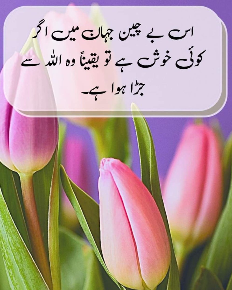 Muhamma87195423's tweet photo. https://t.co/rtA9H41A4U