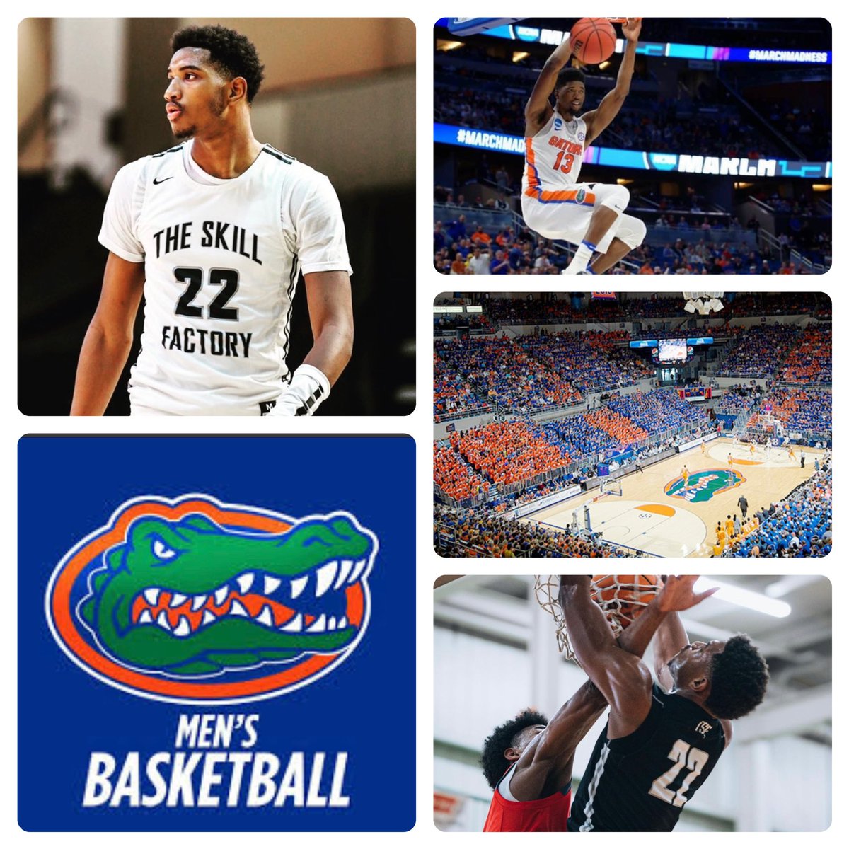 tsfmack2023's tweet photo. Congrats to @arrintenp22 on receiving a offer from University of Florida. #TSFTOUGH #TEAMSPECIAL @lthompson4lt @coach_agibbs @_CoachShep_ @lifeball22 @TheSkillFactory @PaulBiancardi @Cassidy_Rob @TravisBranham_ @TravisGrafHoops @BJenkins247 @JamieShaw5 @VerbalCommits https://t.co/8DatwwWRX3