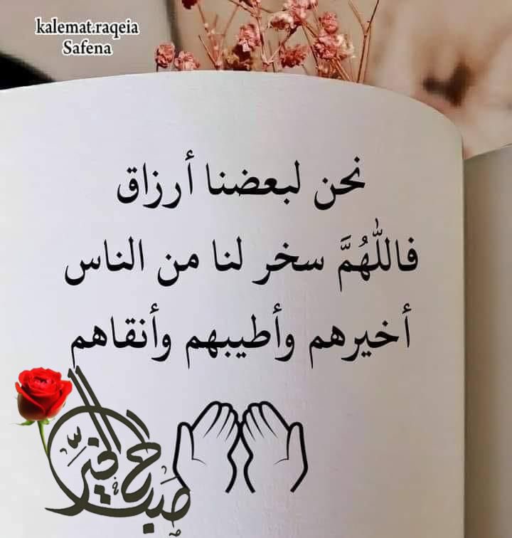صباح الخير 🌺