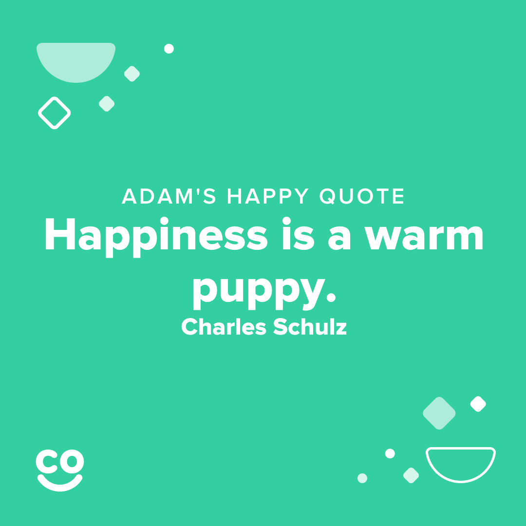 HappyCo's tweet photo. This week we are sharing 4 more HappyCo’er happiness quotes to help raise awareness for mental health. May is Mental Health Awareness month in the US; offering us all an opportunity to have conversations with our friends, family and communities about mental health and wellbeing! https://t.co/qEGj9RojpG