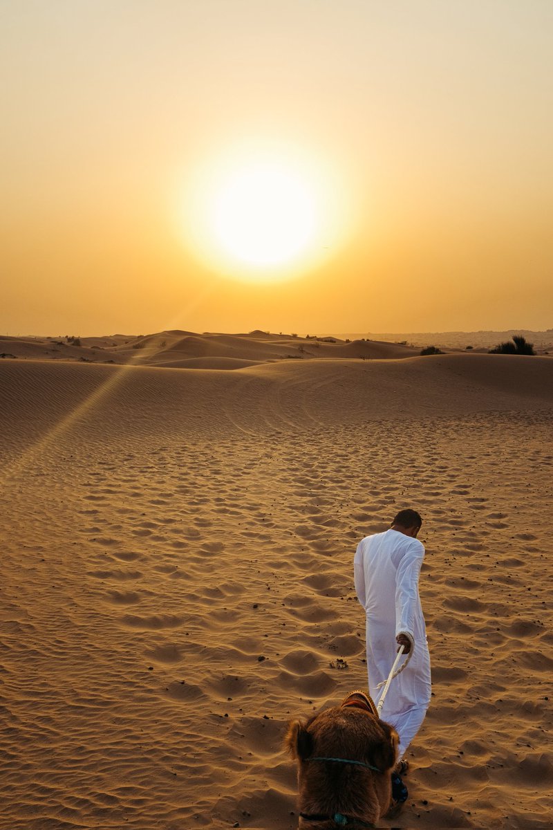 riggz_pix's tweet photo. @KSivachukArt Dubai https://t.co/qywMTAQ03O