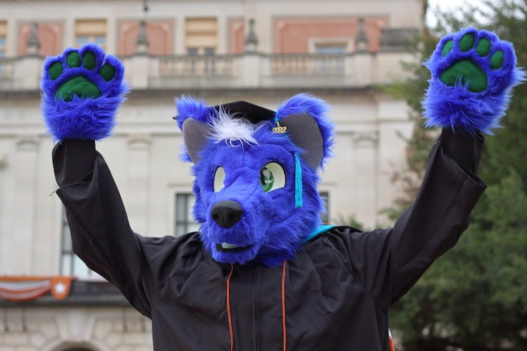 ApolloBlueWolf's tweet photo. Here are some more pictures that @Brandonforty2 took of me today :3 https://t.co/HDPaqihIsw