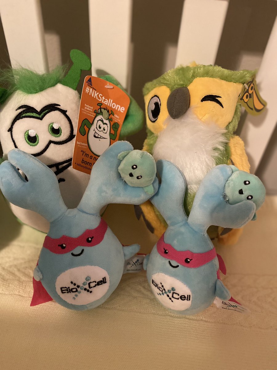 Natalia Jaeger (@jaeger_natalia) on Twitter photo Lots of gifts for the baby after #AAI2022 and #NK2022. Thank you <a href="/miltenyibiotec/">Miltenyi Biotec</a> and <a href="/invivoantibody/">Bio X Cell</a> Lots of gifts for the baby after #AAI2022 and #NK2022. Thank you <a href="/miltenyibiotec/">Miltenyi Biotec</a> and <a href="/invivoantibody/">Bio X Cell</a>