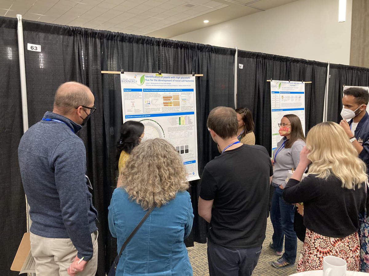 SuperBabe76's tweet image. First poster session was great at @GLBioenergy #2022ASM!