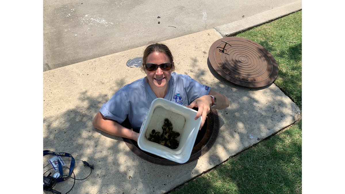 Grapevine Animal Services tweet media