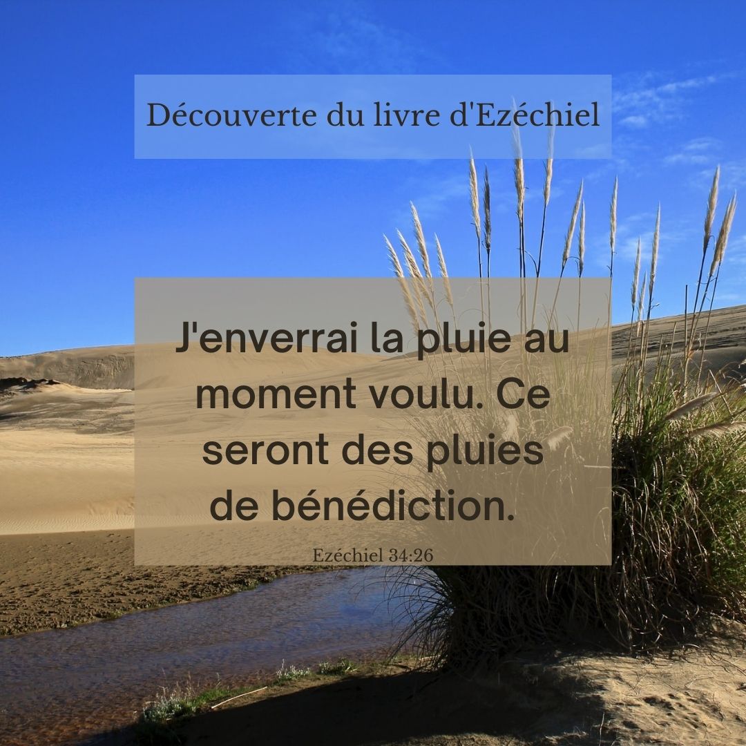 la_Bible's tweet photo. Dieu pourvoit https://t.co/XqoUdXKaGK