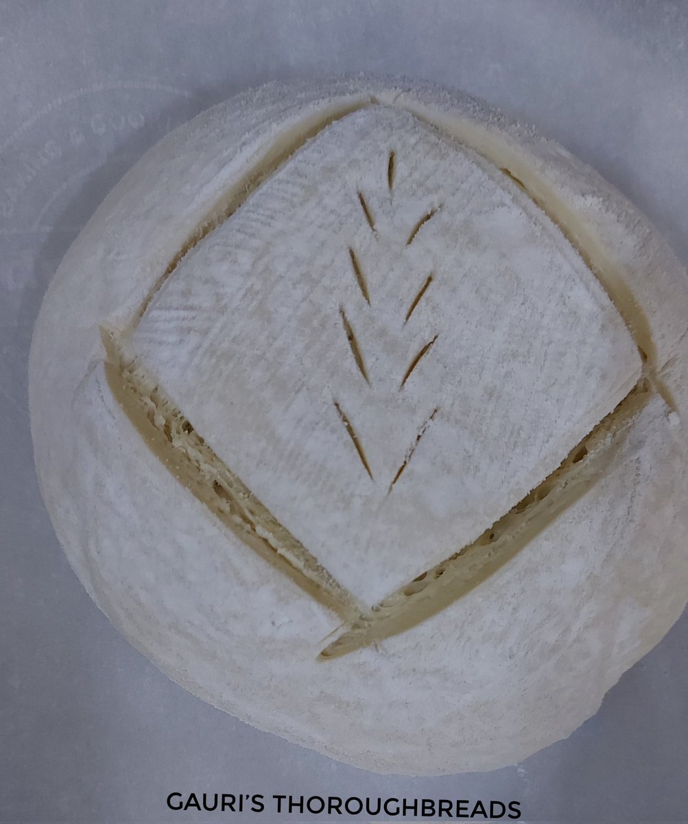 gauripokhariyal's tweet photo. Flour, salt, water & Passion (my starter) comes together to create what I Love!
Today's sourdough boule by #GaurisThoroughBreads dedicated to @dipeshdutt @theenthubakers on 2nd Anniversary #TEBTribe
Thank you for being a great #BreadGuru.
#sourdoughforall #RealBread #Pune https://t.co/kAthMXgGc3