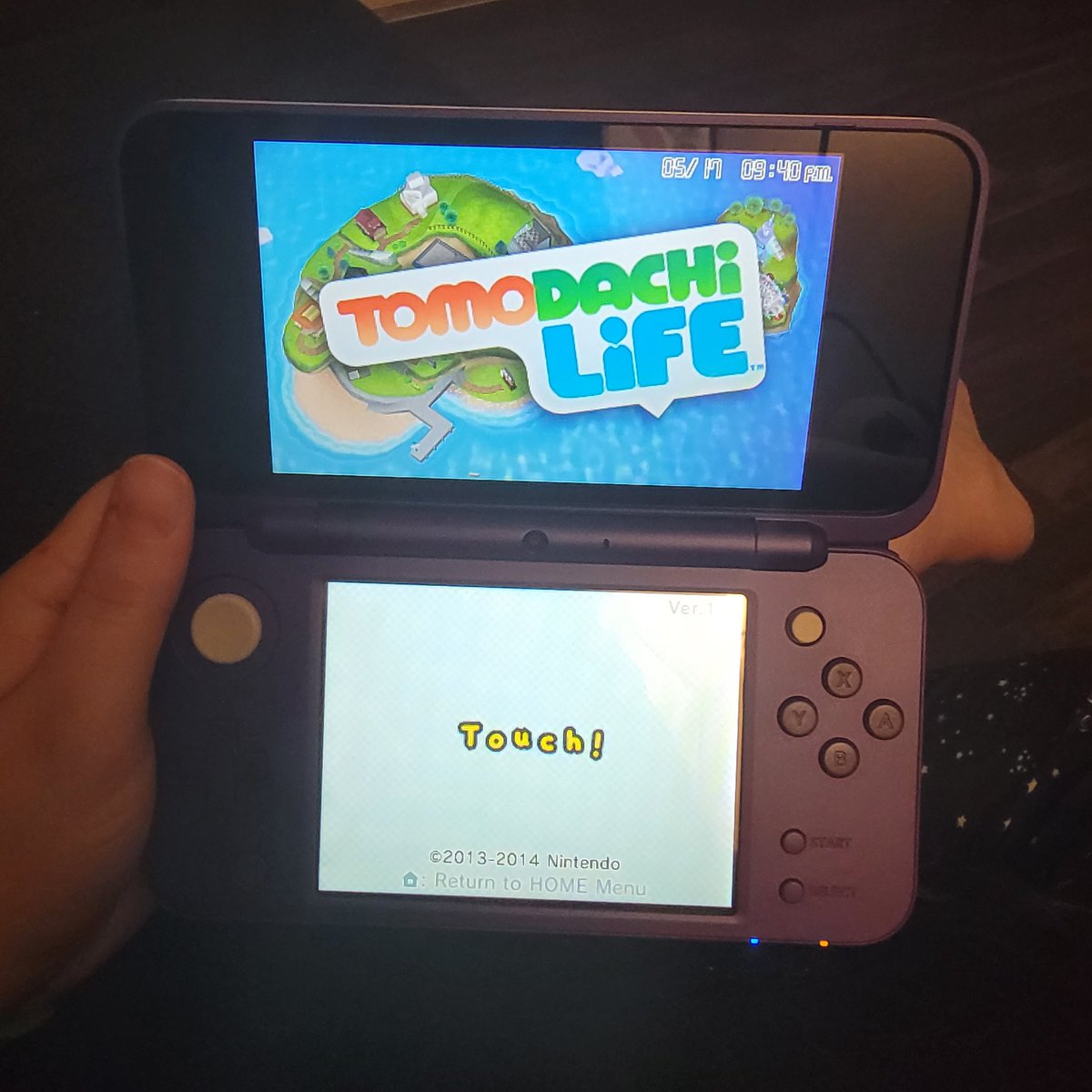 SIMplyShrubling's tweet photo. #Nintendo3DS #TomodachiLife https://t.co/2IGFLJHNs1
