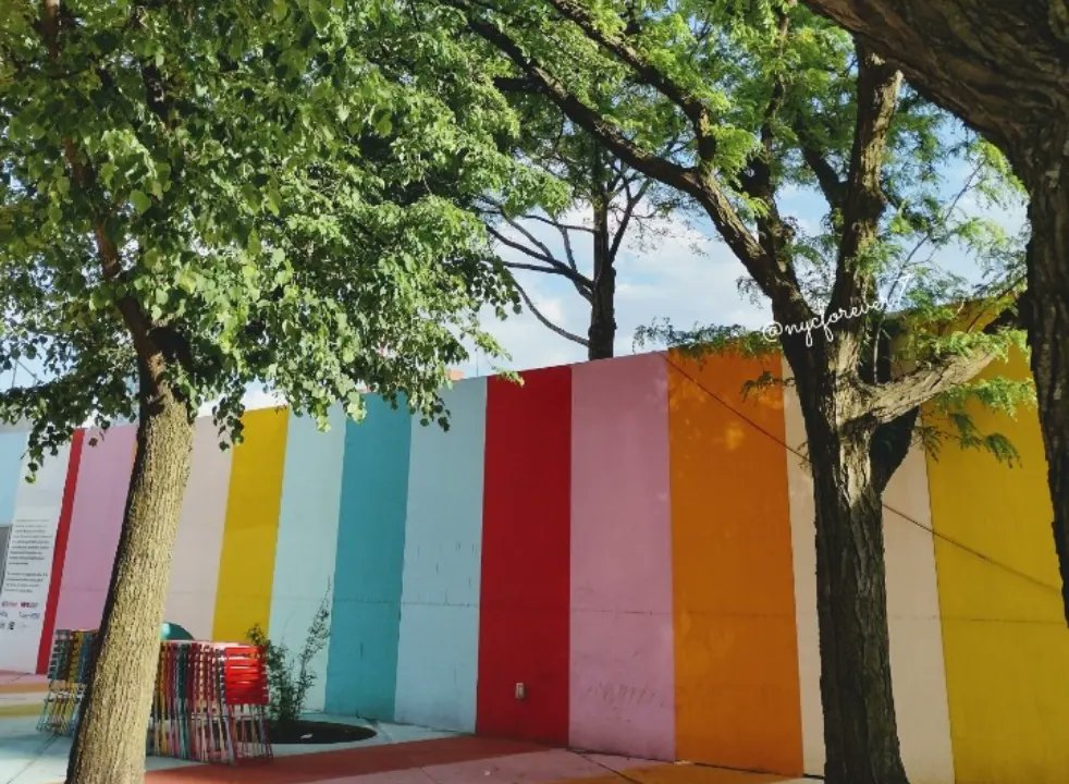 nycforever7's tweet image. #brooklyn #brightstripes 
#artinstallation
#trees
#designer #tallerken