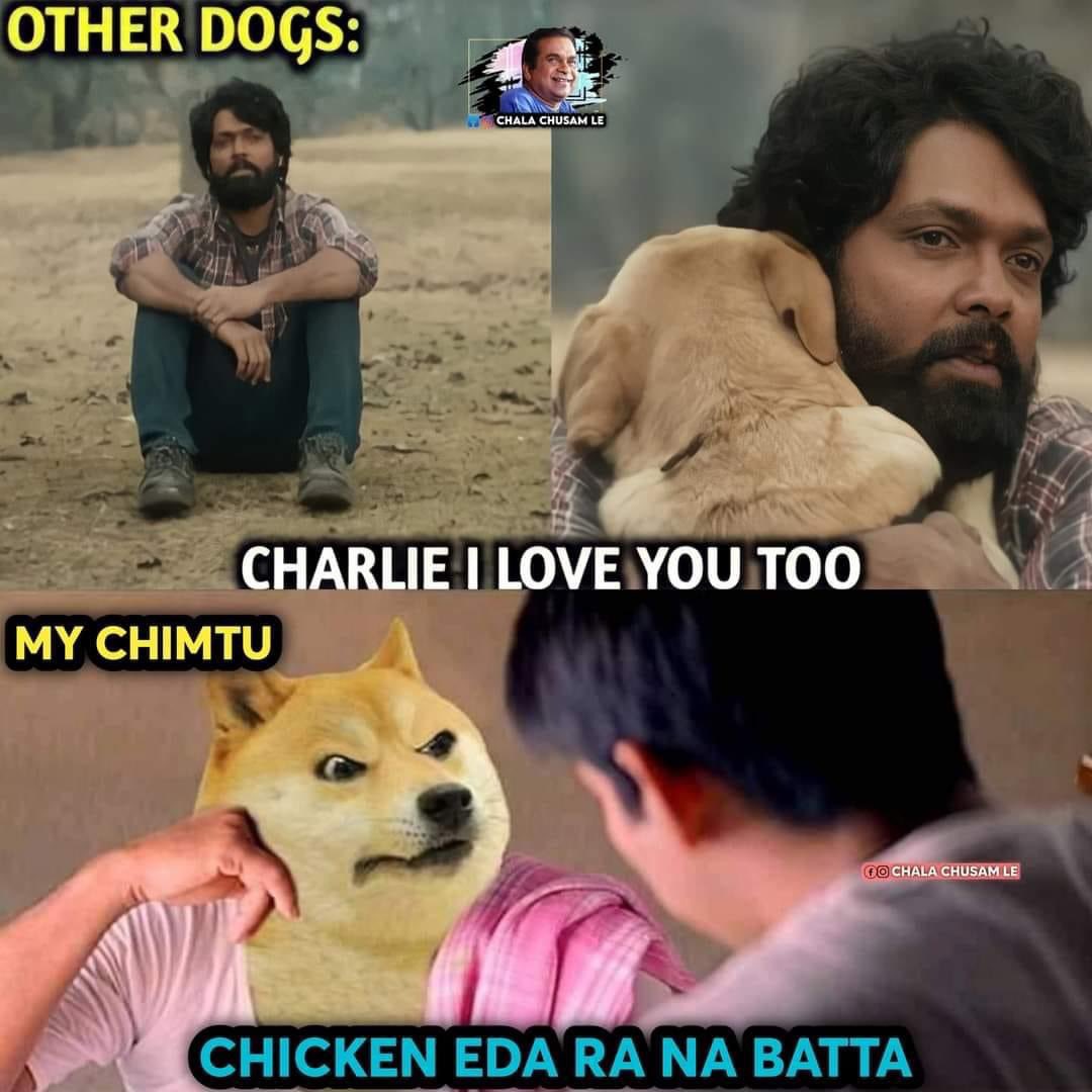 ChilipiChimtu's tweet photo. Sunday aithey chalu na chuttu tirigiddi 😑😑😑 https://t.co/EG2vq8DJSW
