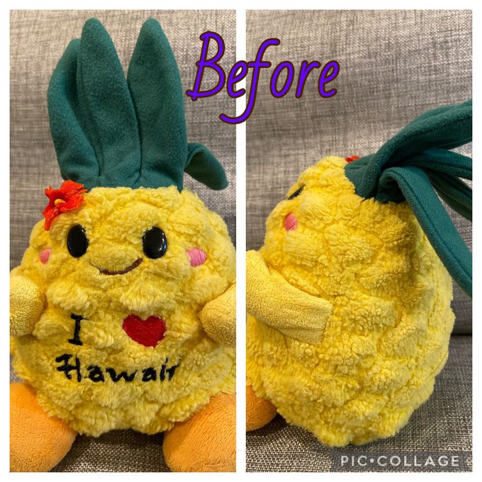 About ぬいぐるみ専門病院 杜の都なつみクリニック