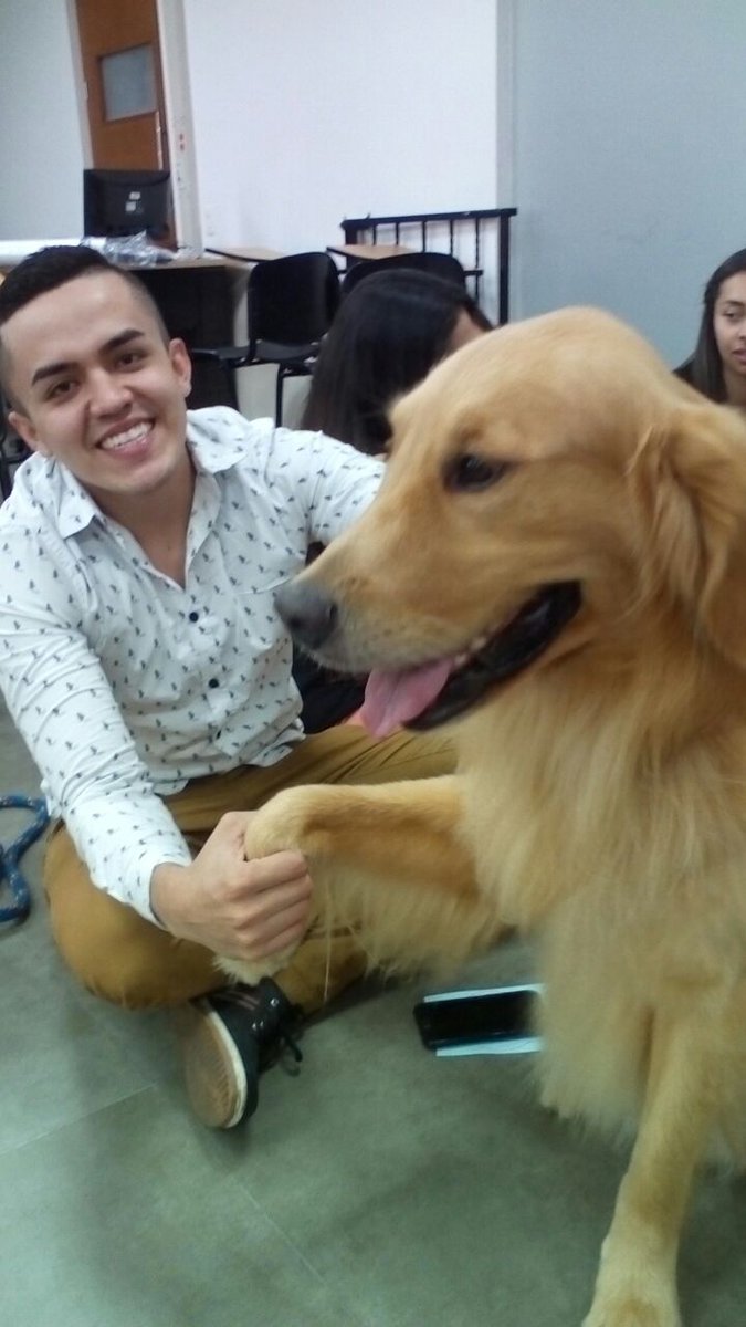 SPaezLeal's tweet photo. #MarquesInClass tuvo su 1a versión en el 2017 Fue una clase voluntaria con mis #estudiantesdederecho @UnabDerecho @unab_online 
#pets #GoldenRetrievers #Dogs #ClassDog #ClassRoomPets #ClassPets #empathy #Empatia https://t.co/f4ruLeMmjr
