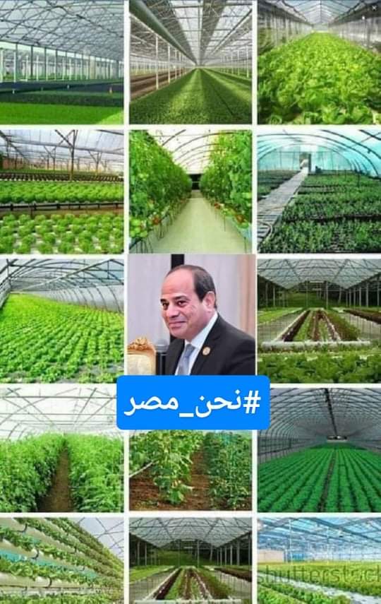 alqaeed36's tweet photo. اول مرة في تاريخ مصر ننتج  10 مليون طن قمح محلى.. 
#نحن_مصر 
#كمل_ياسيسي_واحنا_معاك https://t.co/MncGDdcAeI