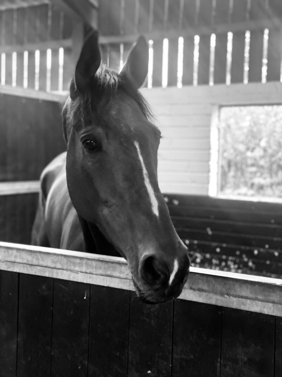 ELavelleracing photo