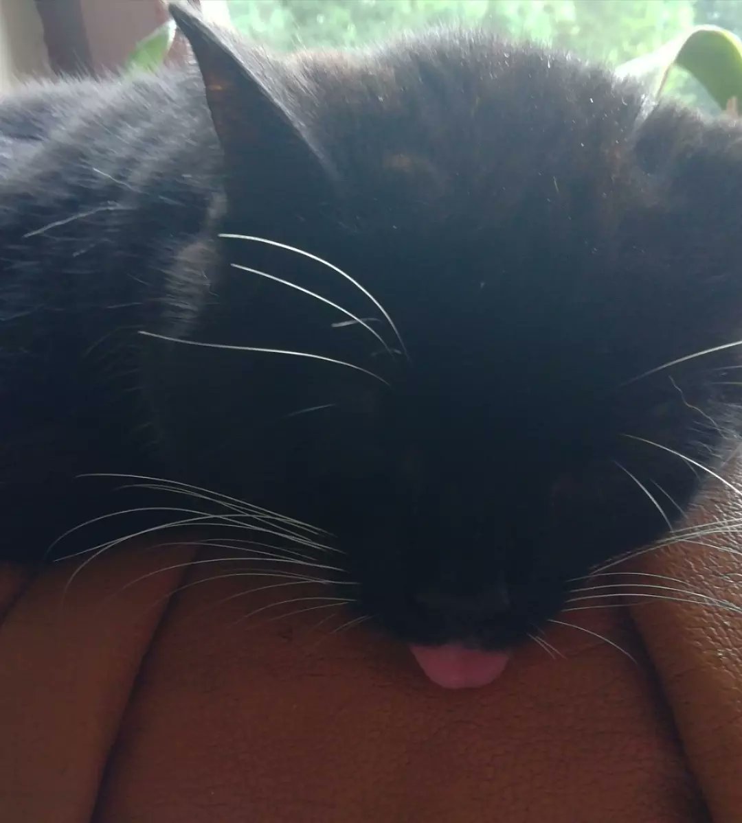 ethvneskin's tweet photo. personne :
blacky : https://t.co/tGcDb1UXdl