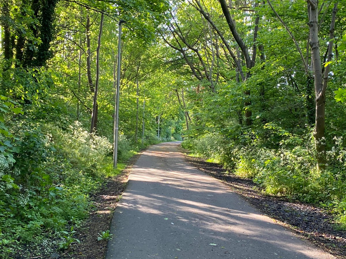 LariDonWriter's tweet image. #longcovid has taken far too many things away, but it has give me this: a greater appreciation of small moments of joy, like sunlight splashing through trees during my morning exercise. #Edinburgh #cyclepaths