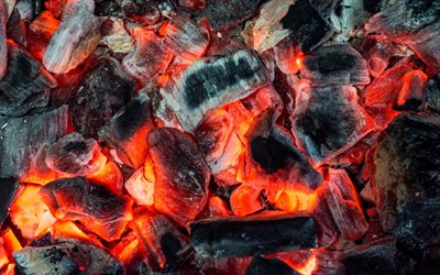 AcivroSabio's tweet photo. O carbón xera ainda que en torno ao 40% da electricidade mundial e case a mesma proporción das emisións mundiais de carbono produce moitísima contaminación 
#CuCiAfonsoX https://t.co/lyUwU0a7e6