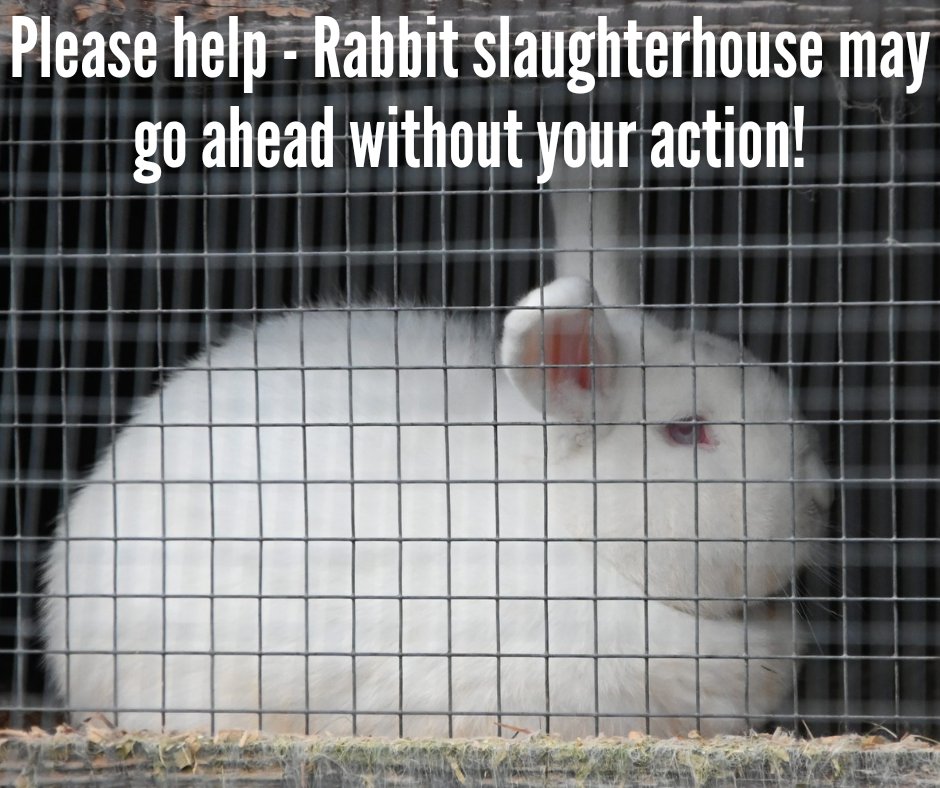 Rabbit Farm Resistance UK 🏳️🌈🏳️⚧️ tweet media
