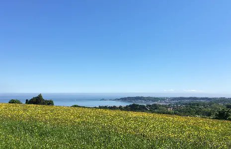 ClyneFarmCentre's tweet photo. Our Top Three...Local Viewpoints! 

Three Cliffs from Pennard, Mumbles from Clyne Farm, and Worm's Head from the Rhossilli Downs! Ask us for more top tips! 

#FavouriteView #Gower #Swansea #TopThree https://t.co/9kzuwrgJ2N