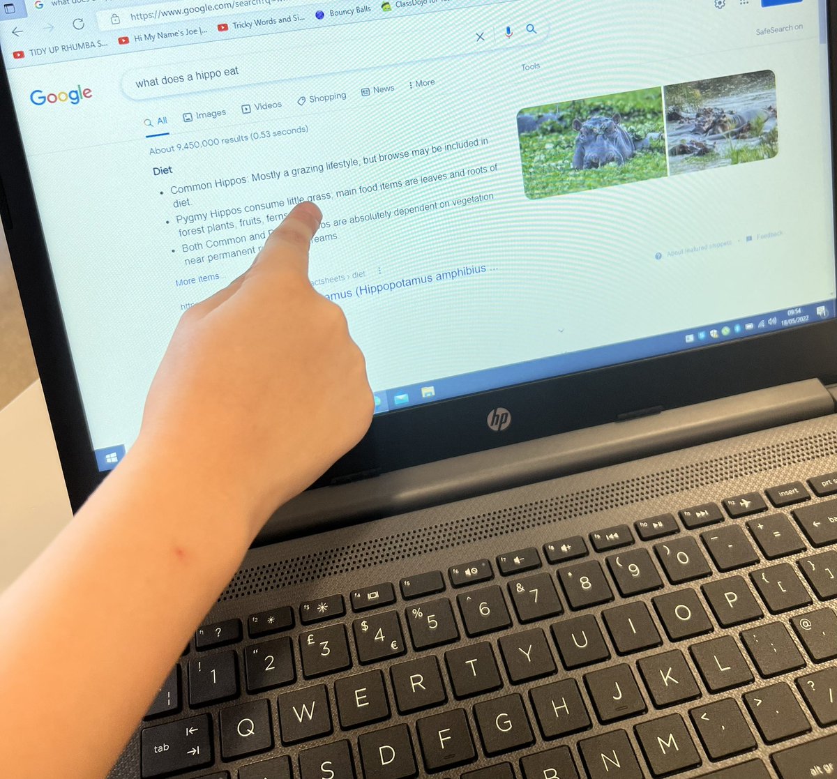DunstansPrimary's tweet photo. Year 1 are researching animals of the Savannah, ahead of our writing based on One Day On Our Blue Planet. 🦓 🦁 🦛 🦒 #computing #primarytech https://t.co/5mMjvd6hla