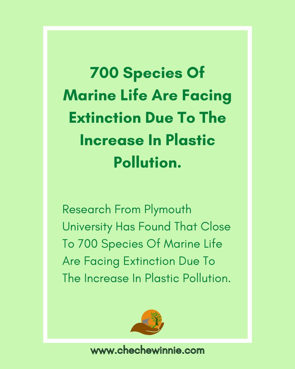 WinnieCheche's tweet photo. Plastic pollution has been observed to make life unlivable in waterbodies. Either by preventing the penetration of oxygen, or marine life confusing them for food. These are some of the issues, that cause these marine lives to die.
#singleusedplastics #plasticpollution https://t.co/y9PmhOylwf