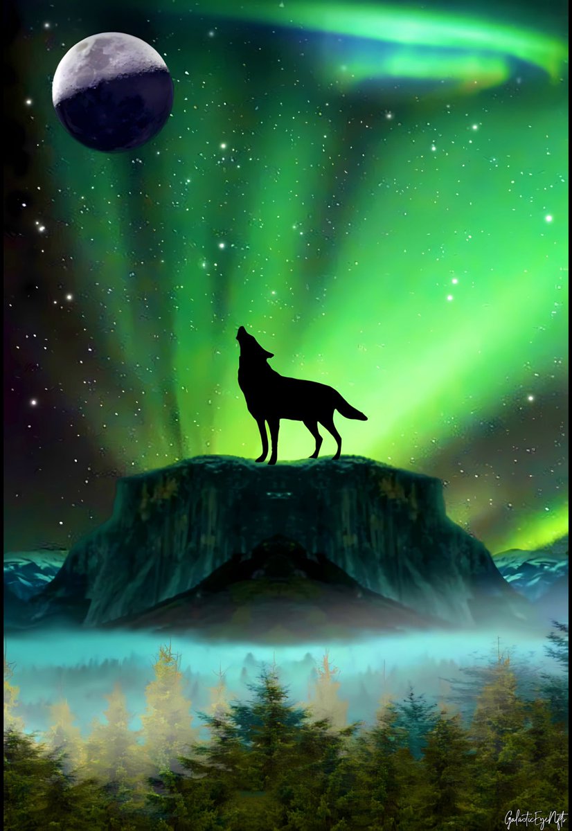 Galactic tweet media