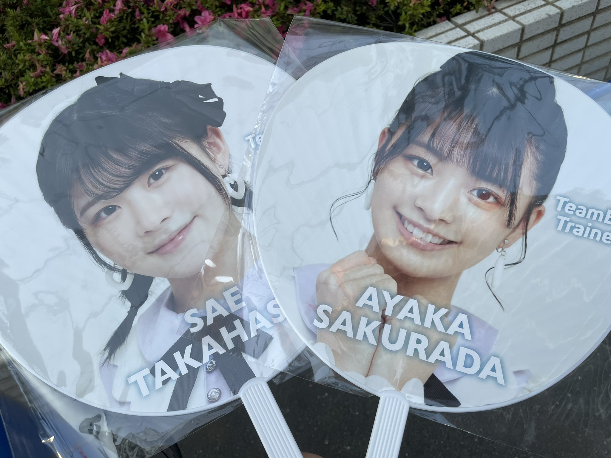 高橋紗恵 - Search / X