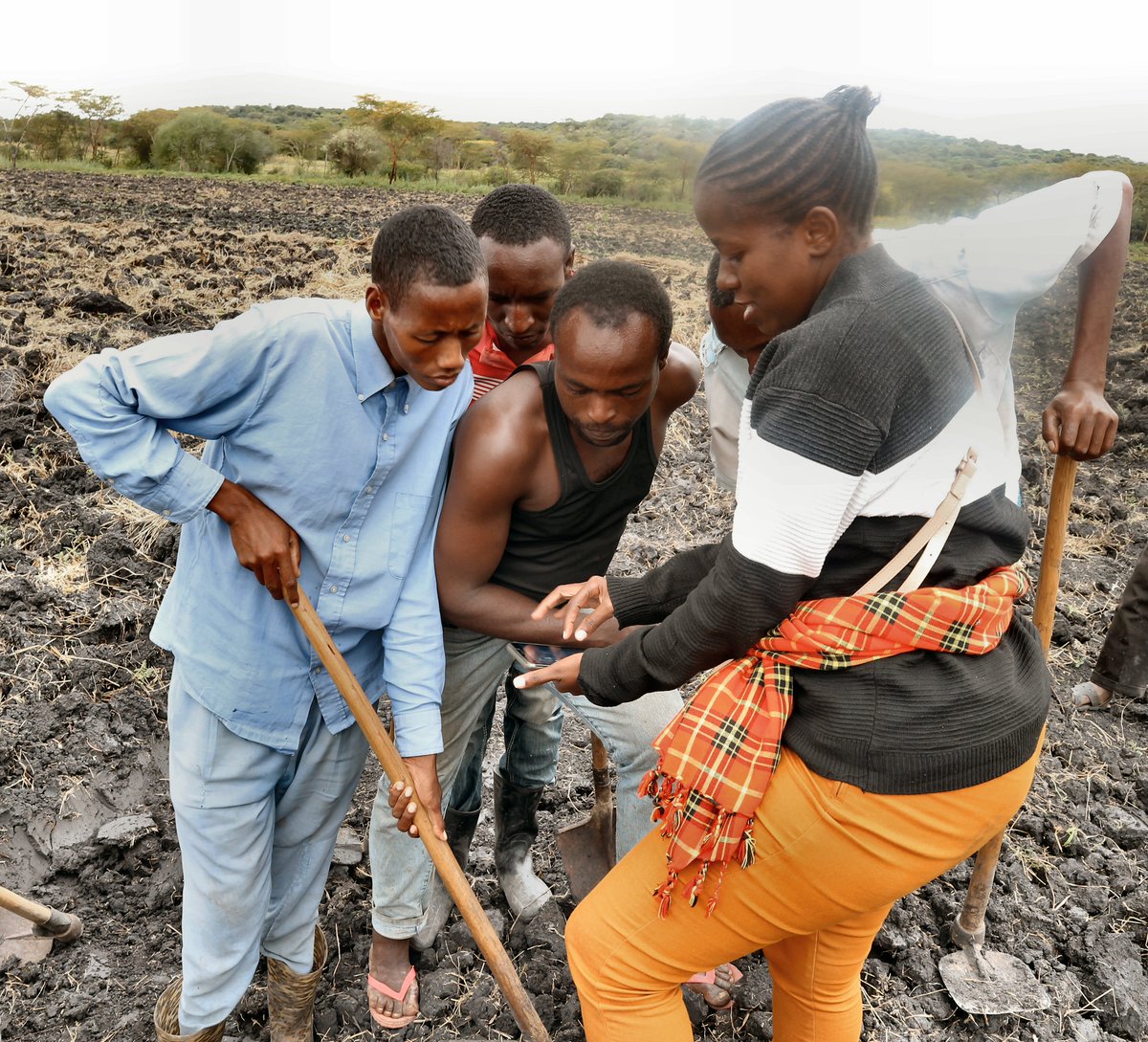 Simsim, pawpaw? 

No, this is not some magic spell, but crops! <a href="/Terra_Sphere/">TerraSphere</a> have completed a full year of mapping 68 different crops over 30 million ha in #Kenya, #Uganda and #Tanzania for <a href="/G20_GEOGLAM/">GEOGLAM</a>. Data is used for #foodsecurity. <a href="/esa/">European Space Agency</a> <a href="/GEOCropMonitor/">GEOGLAM Crop Monitor</a> <a href="/NL_Space/">Netherlands Space</a> <a href="/NASAHarvest/">NASA Harvest</a>