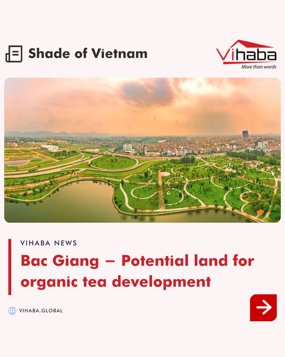 vihabavietnam's tweet photo. SHADES OF VIETNAM
Bac Giang - Potential land for organic tea development (P2)
Agriculture in Bac Giang is famous for many crops such as litchi, oranges, and tea, …
#shadesofvietnam #vietnam #vihaba #tea #teahill #teahills #growtea #teatime #vietnamtravel #explore #travel https://t.co/LfItR29JkZ