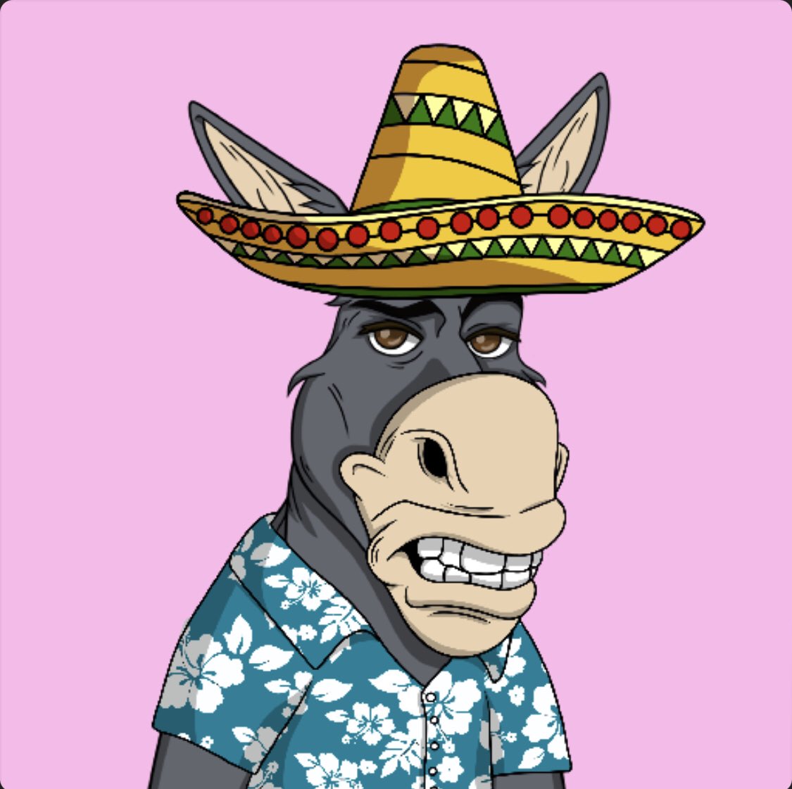 credlessk's tweet photo. @DegenDonkeyDAO @SOLsnatcher69 @The__Solstice #theselooklikeass #dagbo https://t.co/72qi33u12E