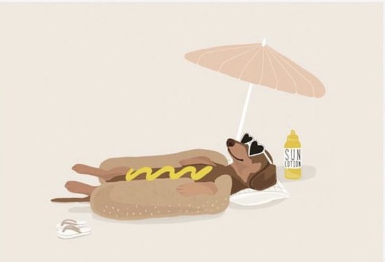 Sausage Dog tweet media