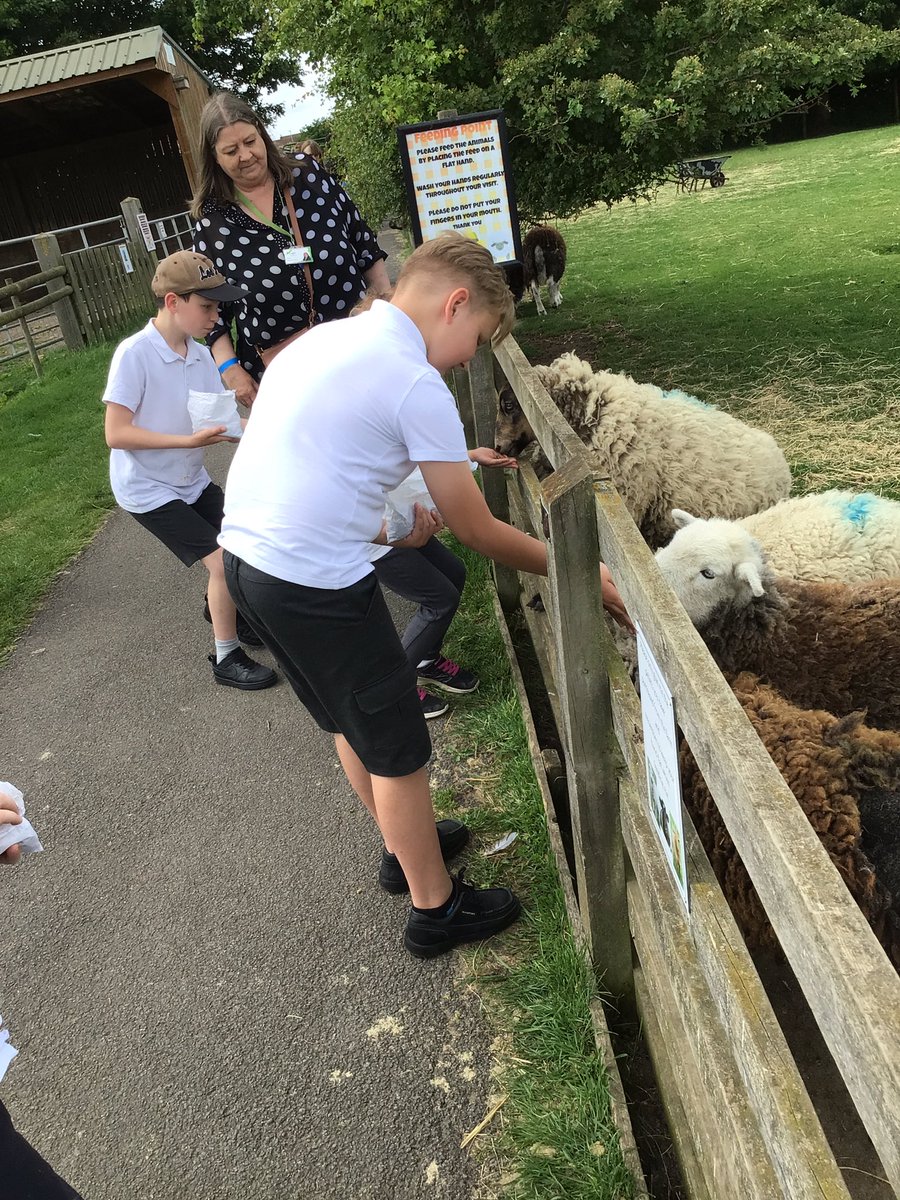TMET_PrimaryInt's tweet photo. Wonderful afternoon with @ThurnbyMead DSP pupils visiting Gorse Hill Farm. Pupils fed and petted different animals at the farm. #confidence #courage #farm #outdoors https://t.co/wGbMEbt62G