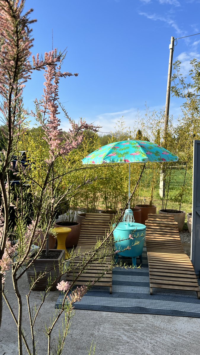 WeAreLifeStyles's tweet photo. Summer must be just around the corner as the spray cans have been out and the garden furniture having a bit of a spruce up. Most of our home is quite neutral, colour-wise, but the garden is where the #popsofcolour happen...
#brightenupyourday #upcycle #renovate #newlife https://t.co/a8KJMb38FY