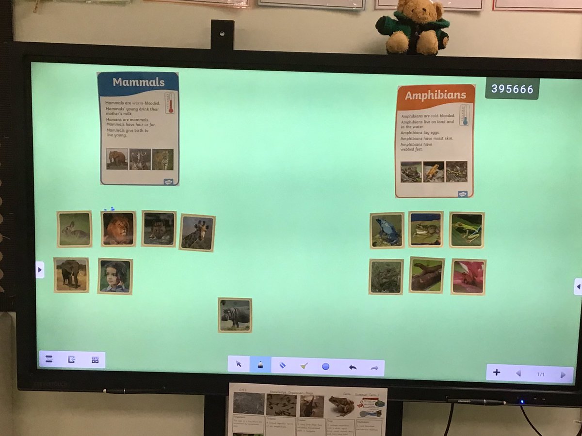 BGlovesscience's tweet photo. We had some amazing discussions today whilst we were classifying Mammals and Amphibians. #KnowledgeIsPower @BradleyGreenFS https://t.co/yxdIqpS4ET