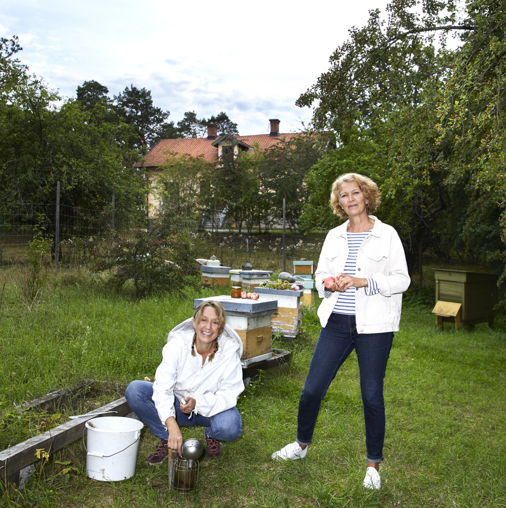 SvenskaBin's tweet photo. Fira World Bee Day med oss på Torup! https://t.co/AgsHI77SkJ https://t.co/6txk4mf8J4